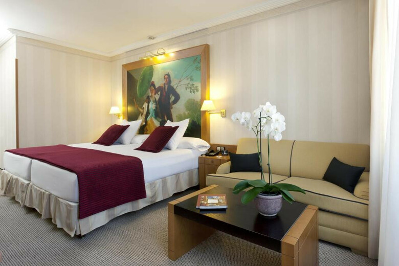 Hotel Princesa Plaza Madrid