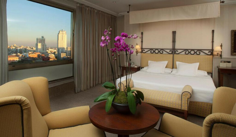 Hotel Princesa Plaza Madrid