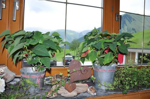 Hostal Haus Alpina