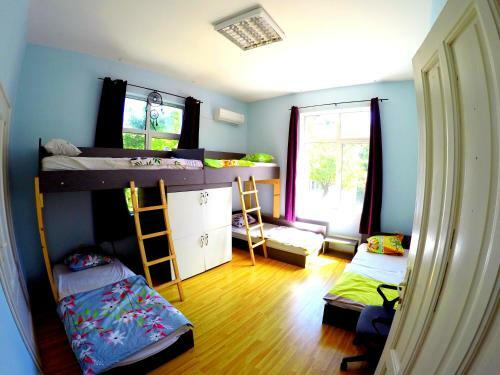 Funky Monkey Hostel