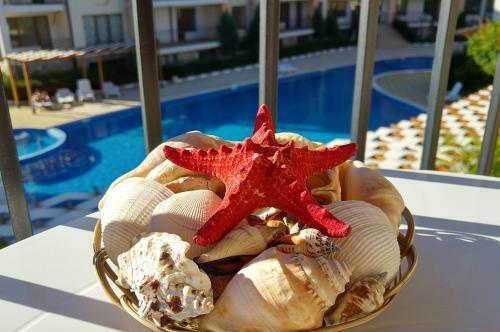 Arkite Holiday Apartments