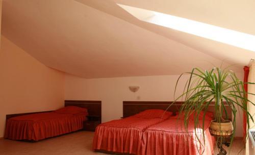 Hotel Alafrangite