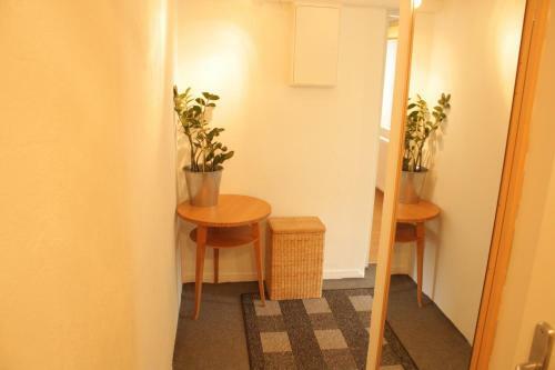 Pro's Apartment