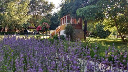 Zora Camping - Bungalows