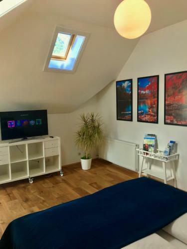 Apartamento Villa Traun