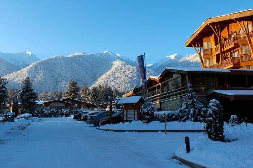 Villa Alisa Bansko