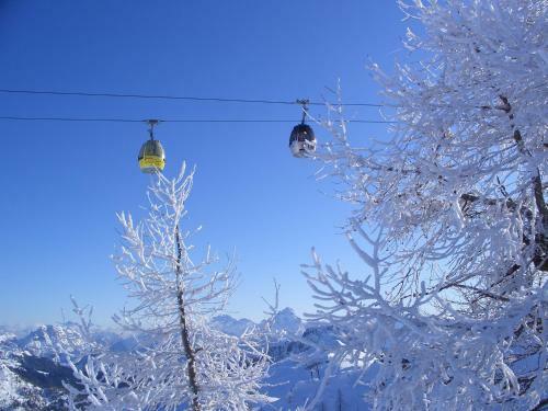 Bed & Breakfast Pension Zum Schreiner
