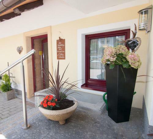 Hostal G�stehaus Gl�tzle