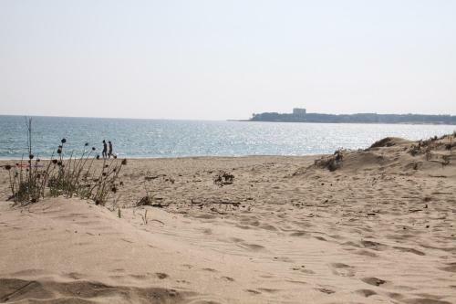 Golden Dunes Primorsko Apartments
