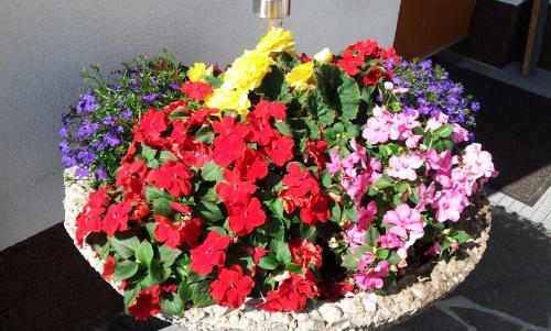Apartamento Haus Rosmarie