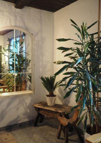 Apartamento Haus Dorothee