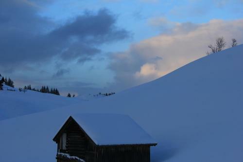 Apartamento Appartements Alpenland