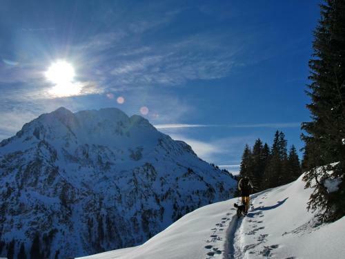 Apartamento Ahorn Chalet Mittelberg