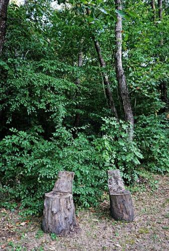 Apartments In Nature Houses Akademik