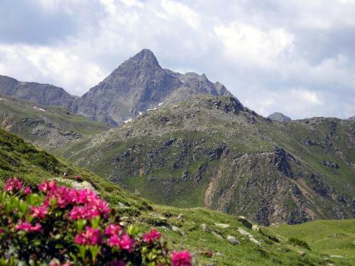 Hostal Pension Stoffler