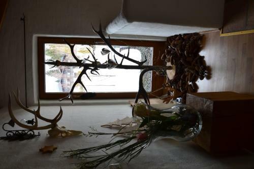 Apartamento Appartementhaus Anka