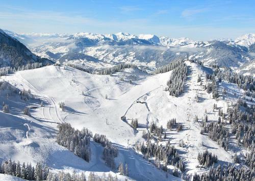 Chalet Hinterweiding-gut