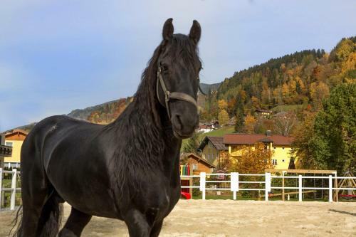 Chalet Hinterweiding-gut