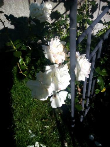Apartment Sunshine Bruck Am Ziller