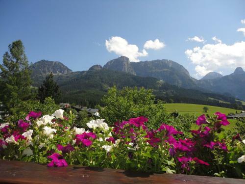 Apartamento Ferienwohnung Ronacher