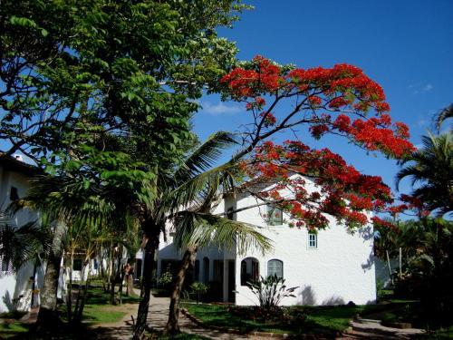 Apartamento Em Praias Brancas Apart