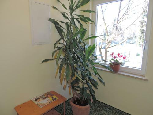 Hostal Pension Am Eschenbach