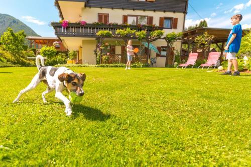 Apartamento Ferienhaus Lesch