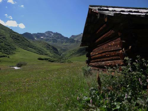Hotel Silvretta
