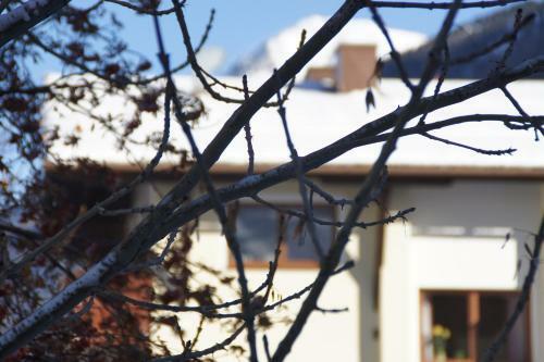 Hostal Garni Rudigier