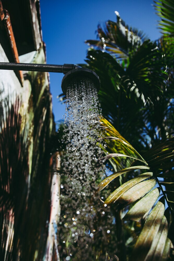 Junglez Eco Hostel