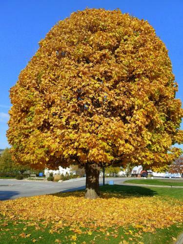 Bed & Breakfast Casa Grande Inn