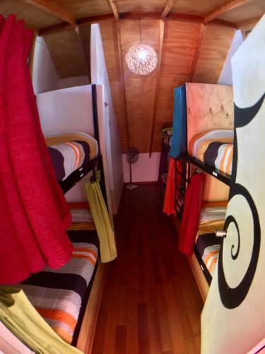 Gecko Hostel