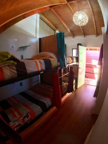 Gecko Hostel