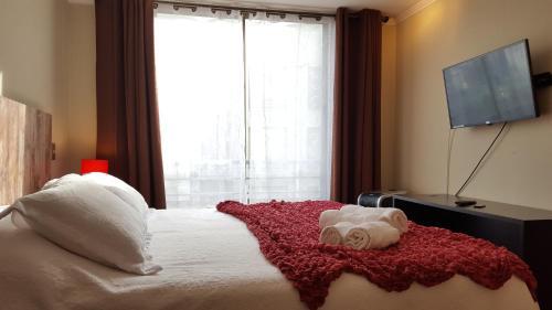 Apartamento Santiago Downtown Bellavista 165