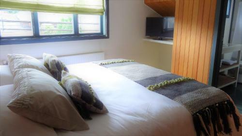 Hostal Y Caba�as Verde Nativo
