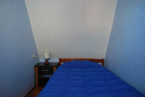 Hostal Caba�as Rio Leufucade