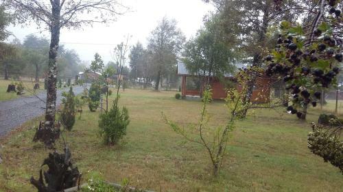 Caba�as Monte Alto