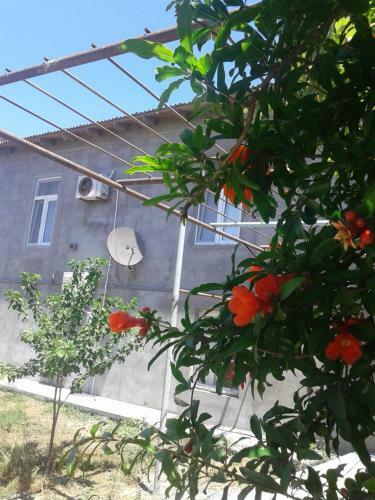 Apartamento Rental House In Village Bine