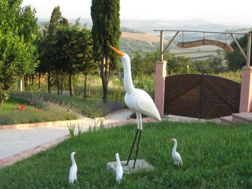 Bed & Breakfast Airone Country House