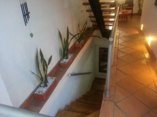 Casa Marqu�s Del Pedregal