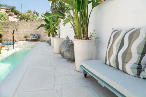 Casa Indy