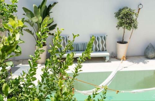 Casa Indy