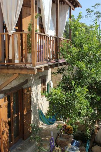Casa Indy