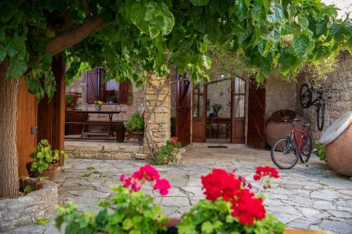 Country House Apanemia