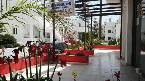 Apartamento Milounapa