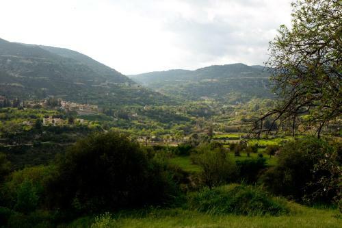 The Old Olive Mill