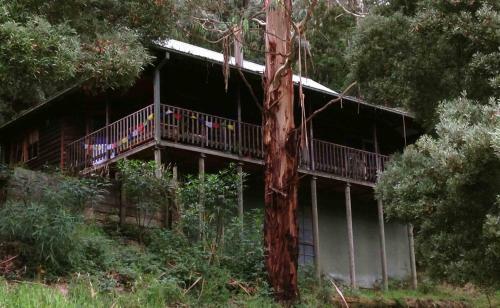 Tall Trees Retreat