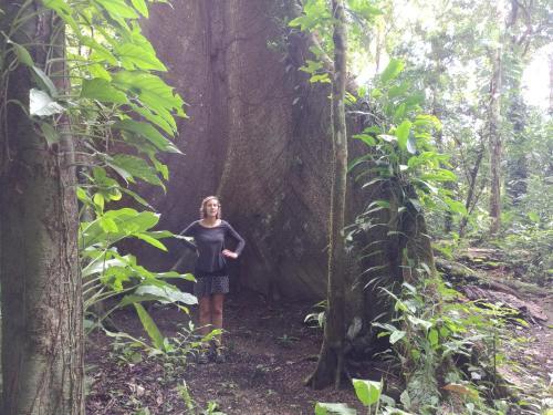 Hostal Corcovado Wild Hostel