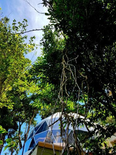 Hotel Chira Glamping Monteverde