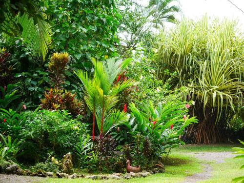 Caribbean House